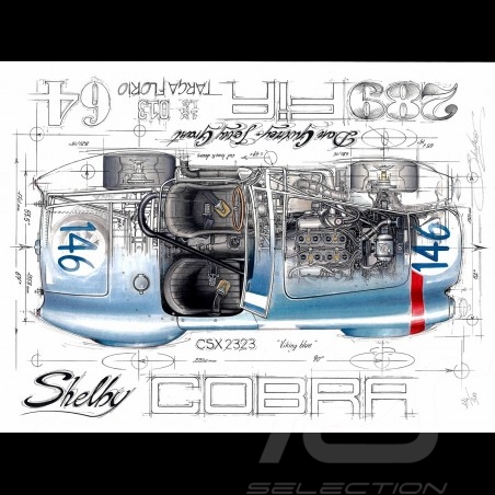 Shelby Cobra 289 Motorsport MPower DTM Sport Series original drawing by Sébastien Sauvadet
