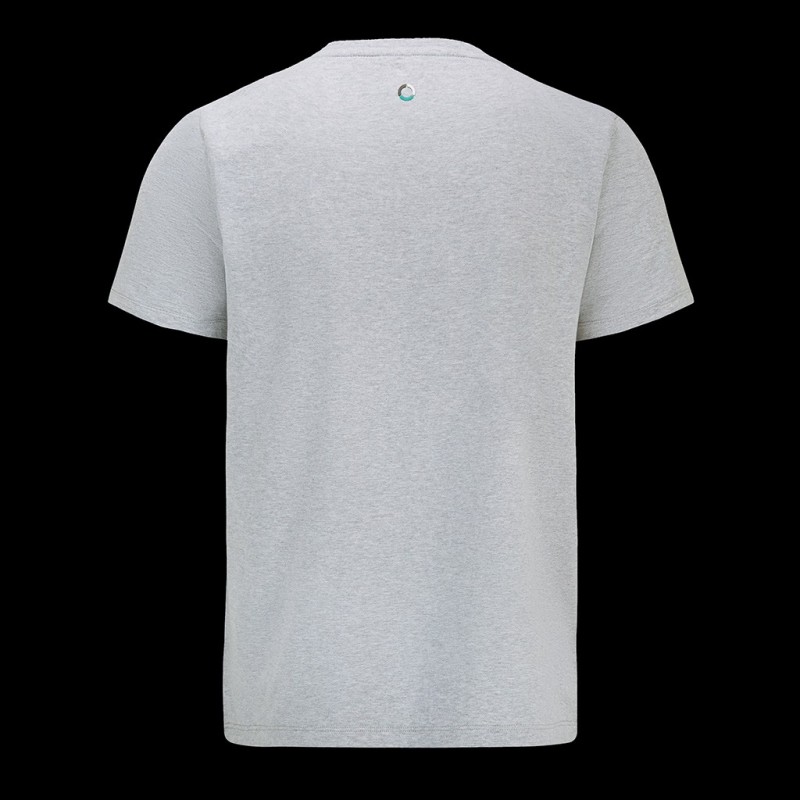 mercedes-amg-petronas-f1-small 