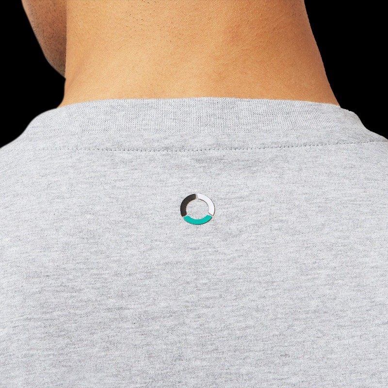 Mercedes AMG Petronas F1 Small logo T-shirt Gray 701202265-002 