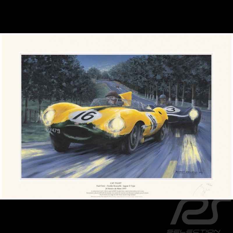 Poster Jaguar Type D n° 16 & n° 3 24h Le Mans 1957 " Cat fight " von Benoît Deliège