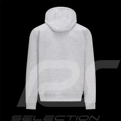 Sweatshirt Red Bull Racing F1 Verstappen Pérez Hoodie Grey 701220728-001 - Men