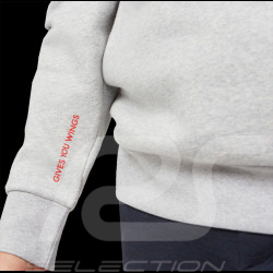 Sweatshirt Red Bull Racing F1 Verstappen Pérez Hoodie Grau 701220728-001 - Herren