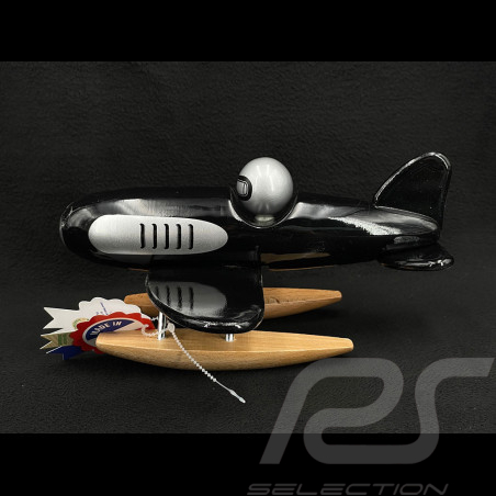 Hidroavión en Miniatura...
