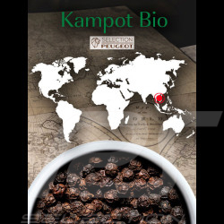 Peugeot Organic Black Pepper from Cambodia Kampot 3 x 20 g