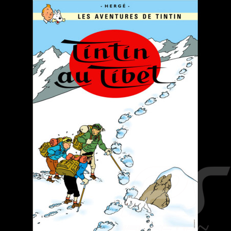 Póster Tintín - Tintín en...
