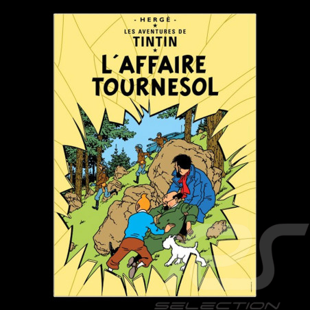 Póster Tintín - El asunto...