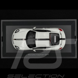 Porsche Cayman GT4 2015 Typ 981 Weiß 1/43 Schuco 450758800