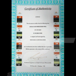 ULTRA RARE - Handsigniert Michael Schumacher Mercedes W02 Nose Cone F1 1/12 Amalgam