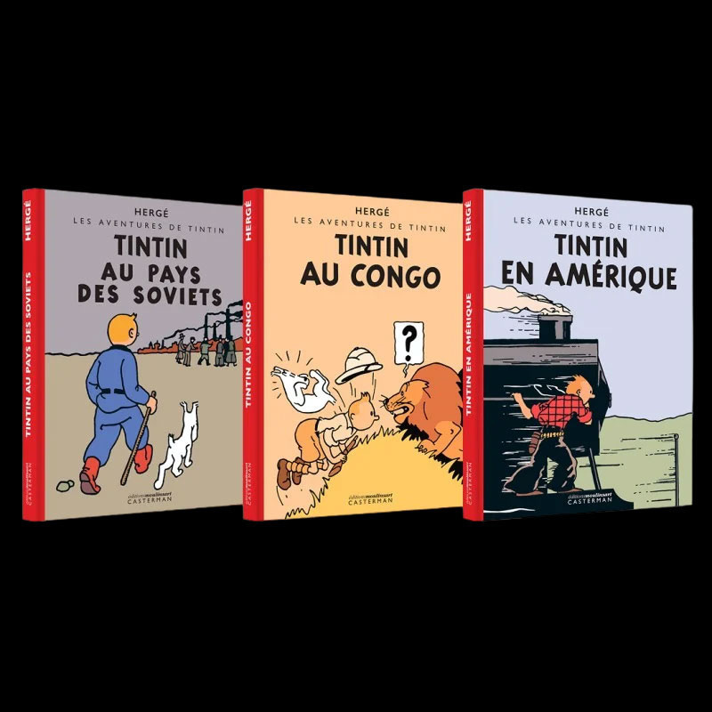 Un rare album de Tintin au Congo de 1931 aux enchères à Roubaix