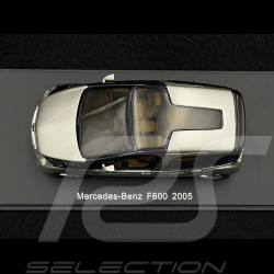 Mercedes F 600 Hygenius Concept 2005 Gris Argent 1/43 Spark S1016