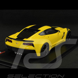 Chevrolet Corvette Grand Sport 2017 Corvette Racing Gelb 1/18 TrueScale TS0119