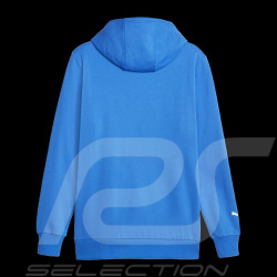 Mercedes AMG hooded sweatshirt F1 Team Petronas Puma Ultra blue 621159-08 - men