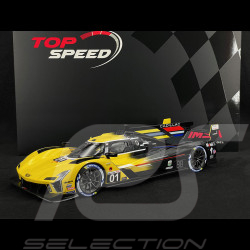 Cadillac V-Series R n° 01 3. 24h Daytona 2023 1/18 Top Speed TS0482