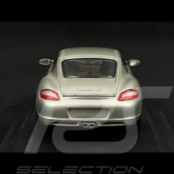 Porsche Cayman S 2009 Silber Grey 1/43 Schuco 07301