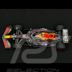 Max Verstappen Red Bull Racing RB19 n° 1 Weltmeister 2023 1/18 Minichamps 110230101