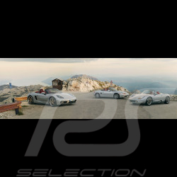 Brochure Porsche 718 Boxster 25 years edition Forever Young 01/2021 en anglais WSLB2101001791