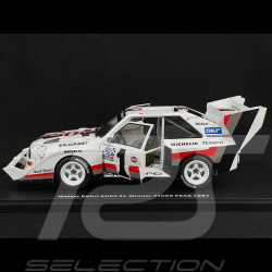 Audi Sport Quattro S1 E2 N° 1 Vainqueur Pikes Peak 1987 Audi Sport Team 1/18 Werk83 W1802801