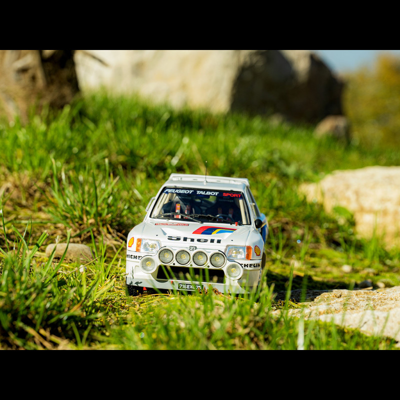 Tableau Toile Rallye Ari Vatanen - Peugeot 205 Turbo 16 Groupe B, Format 30x45 Cm, Neuf