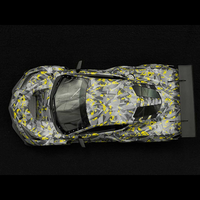 Chevrolet Corvette C8 Z06 GT3.R Test Car Sebring 2022 Grey 1/18 Top