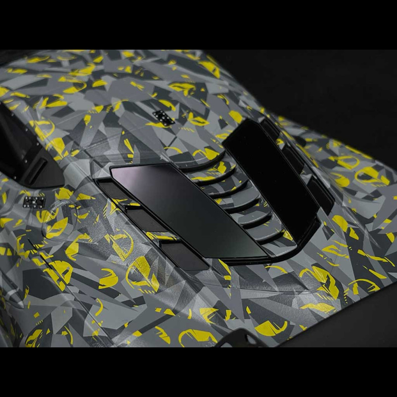 Chevrolet Corvette C8 Z06 GT3.R Test Car Sebring 2022 Grey 1/18 Top
