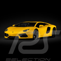 Lamborghini Aventador LP700-4 Kit 1/8 Yellow Giallo Orion Pocher HK119