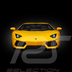 Lamborghini Aventador LP700-4 Kit 1/8 Yellow Giallo Orion Pocher HK119