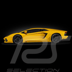 Lamborghini Aventador LP700-4 Kit 1/8 Yellow Giallo Orion Pocher HK119