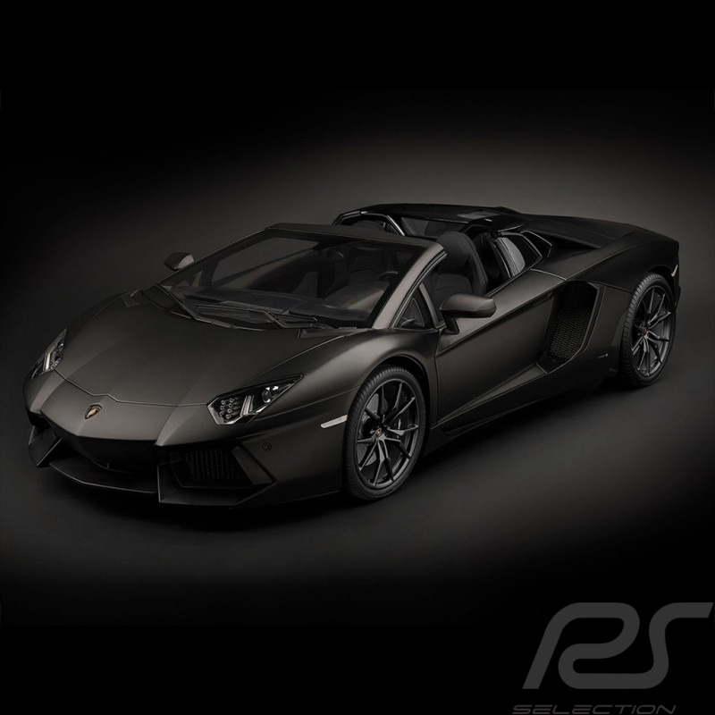 Lamborghini Aventador LP700-4 Modellbau 1/8 Matte Schwarz Nero Nemesis Pocher HK121