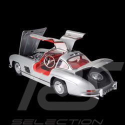 Kit Mercedes 300 SL Type W198 Butterfly Doors 1955 Silver Grey 1/8 Ixo Models 520010112