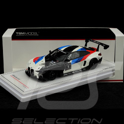 BMW M4 GT3 Presentation 1/43 TrueScale Models TSM430578