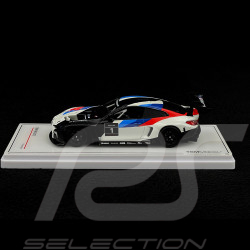 BMW M4 GT3 Präsentation 1/43 TrueScale Models TSM430578