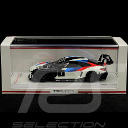 BMW M4 GT3 Präsentation 1/43 TrueScale Models TSM430578