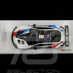 BMW M8 GTE n° 1 Präsentation 2018 1/43 TrueScale Models TSM430429