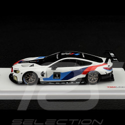 BMW M8 GTE n° 1 Presentation 2018 1/43 TrueScale Models TSM430429