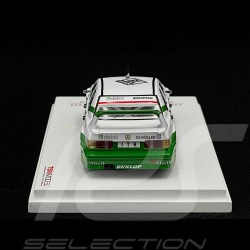 Mercedes-Benz 190E Evo2 n° 19 DTM 1991 1/43 TrueScale TSM124348