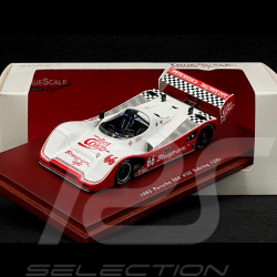 Porsche 966 12h Sebring 1993 n°66 Gunnar 1/43 TrueScale TSM114303