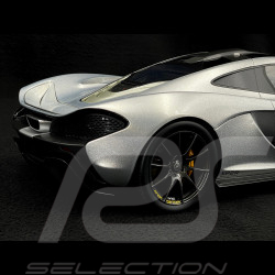 McLaren P1 XP2R Nürburgring 2013 Argent 1/12 Top Speed TSM141207