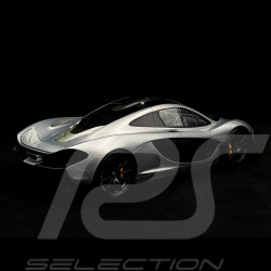 McLaren P1 XP2R Nürburgring 2013 Silber 1/12 Top Speed TSM141207