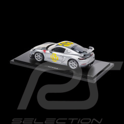 Porsche 718 Cayman GT4 RS Type 982 Panamericana n° 152 2023 Argent 1/18 Spark WAP0214120SCAY