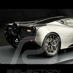 Gordon Murray T50 2022 Silver 1/18 Schuco 450057700