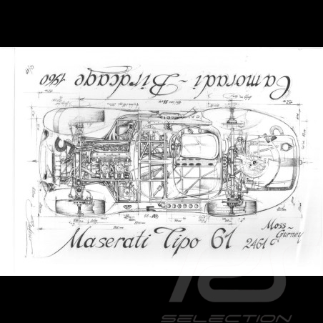 Maserati Birdcage n° 5...