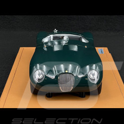 Jaguar Type C Spider 1953 Presentation British Racinggrün 1/18 Tecnomodel TM18-290A