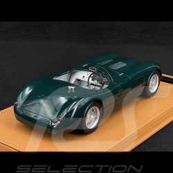 Jaguar Type C Spider 1953 Presentation British Racing Green 1/18 Tecnomodel TM18-290A