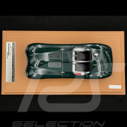Jaguar Type C Spider 1953 Presentation British Racinggrün 1/18 Tecnomodel TM18-290A
