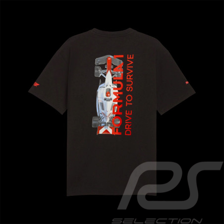 Camiseta F1 Drive to...