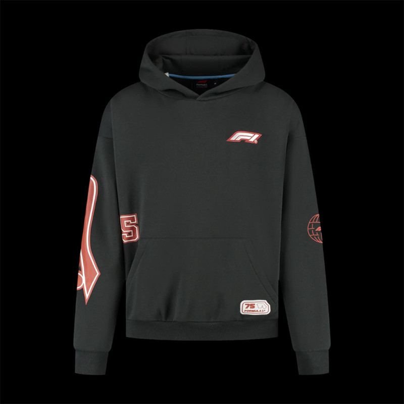 Sweat homme 1/4 zip Logo Black Formule 1 | Vêtements  Pulls