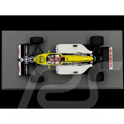 Nelson Piquet Williams FW11B n°6 Sieger GP Italien 1987 1:18 Spark 18S739