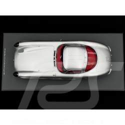 Mercedes-Benz 300 SLR Uhlenhaut Coupé 1955 Argent Métallisé 1/12 Schuco 450052700