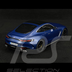 Mercedes-Benz AMG GT 63 4Matic-Bleu Spectral Magno 1/18 NZG 1034/21