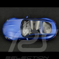 Mercedes-Benz AMG GT 63 4Matic - Spectral Blue Magno 1/18 NZG 1034/21